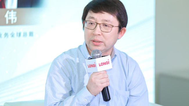 汪偉：中國光伏既要勇于“走出去”，又要積極推進“內(nèi)循環(huán)”