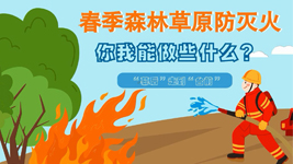 春季森林草原防滅火，你我能做些什么？